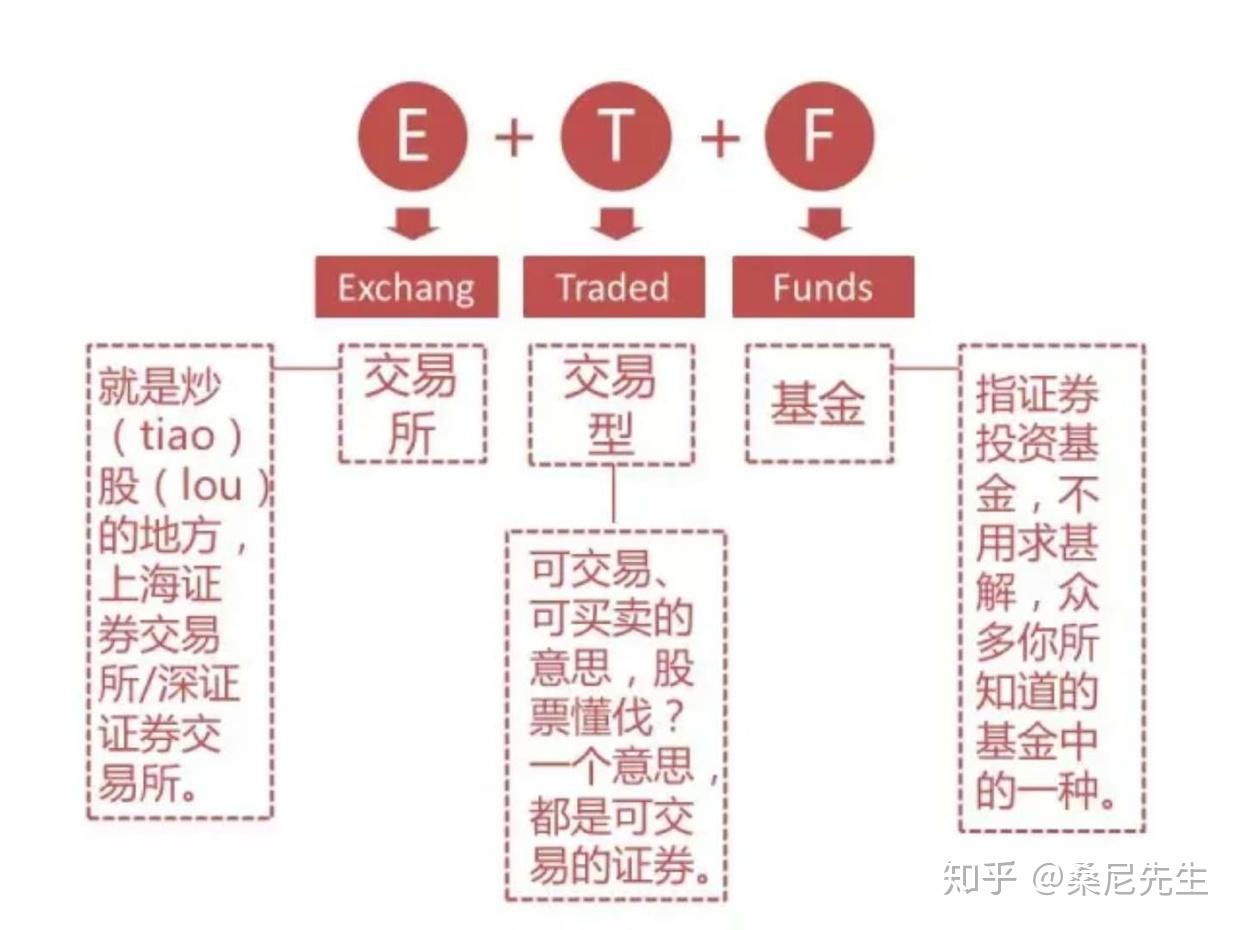 我市组织春季应征女青年上站体检