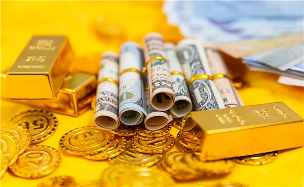 我市启用驾培公共服务平台