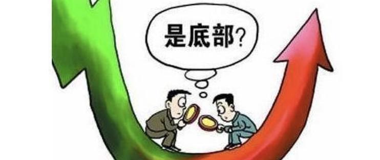 光大肉鸽养殖项目预计月底引进首批5000对种鸽