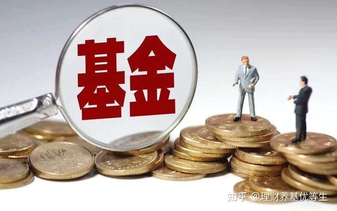 纪录片里的场景拍到了！网友在珠海偶遇成群粉色中华白海豚